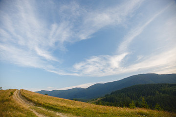 Carpathian landscape. Dirt road in the mountains. Hiking. Rural landscape in Carpatians, Ukraine. Coniferous forest, field, beautiful sky. Panorama of mountains and sky from Mount Kostrycha, Ukraine