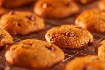 chocolate cookies