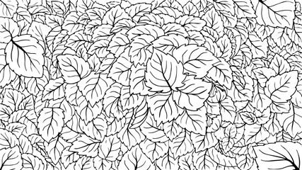 vector monochrome background made with leaves of different shapes and with different line depth.