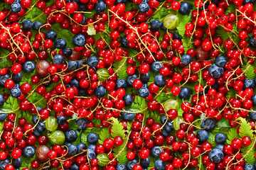 Seamless pattern of berries. Red currants, blueberries and gooseberries. View from above.