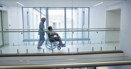 Young doctor pushing patient in wheelchair in hospital 4k - Powered by Adobe
