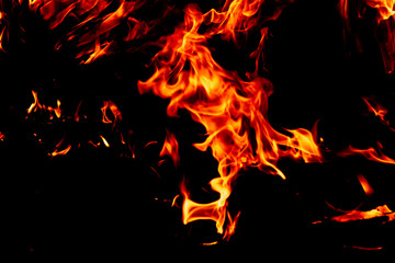 Fire on a dark background. Background from fire. Fire close up. Background for designers.Wood fire...