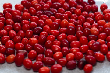 a lot of dogwood scattered on the table, good background, healthy food
