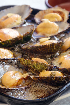 Cuisine of the Azores. The mollusks of Lapas, Limpets are popular as a snack in the Azores. Fried clams in garlic butter in a black frying pan. Traditional dish of the Azores. San Miguel, Portugal.