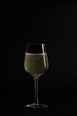 a glass of champagne on totally black background