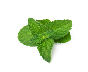 Fresh green  mint leaves  isolated on white background