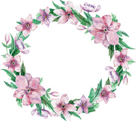 Watercolor circular pink floral wreath with flowers and central white copy space for text. Decorative christmas rose.