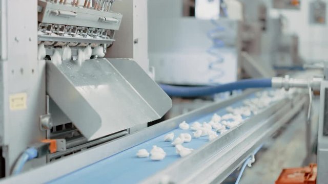 Automatic Machine Production Process at a Dumpling Factory