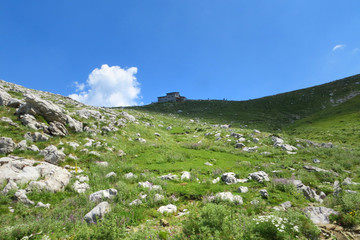 Fototapeta na wymiar A breathtaking view of a mountainside at Mount Tymfi in Epirus - Greece