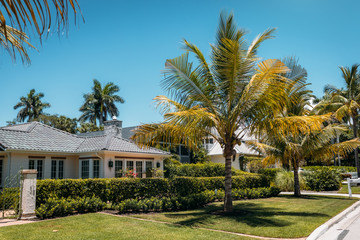 Fototapeta na wymiar Typical american house with green grass and palm trees in a sun rays