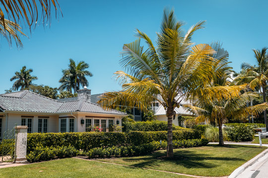 Typical american house with green grass and palm trees in a sun rays