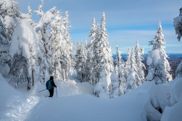 Fototapeta premium A silhouette walking away across snow covered trees, snowshoeing on Megantic mountain, Quebec, Canada