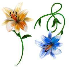 The visual enjoyment of flowers, the leaves and flowers art design