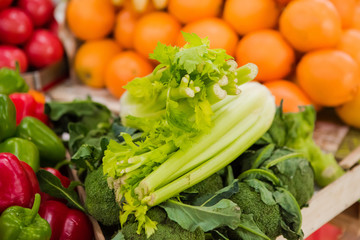 green lettuce leaves on a background of oranges