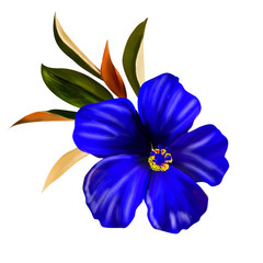 The visual enjoyment of flowers, the leaves and flowers art design