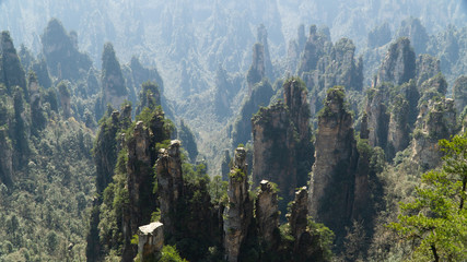 The Zhangjiajie National Forest Park - a unique national forest park with thousands of quartz-sandstone pillars, China