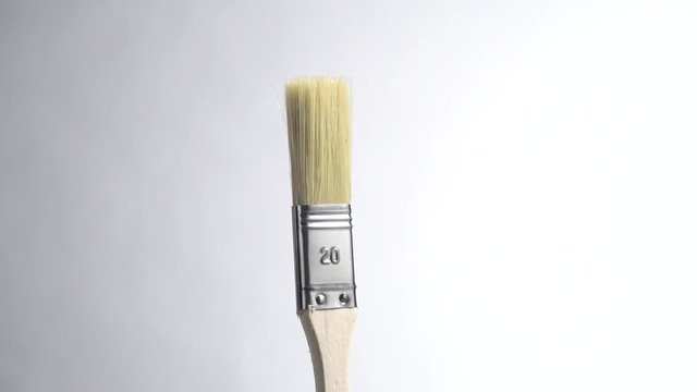 Pincel sobre fondo gris, modelo 20