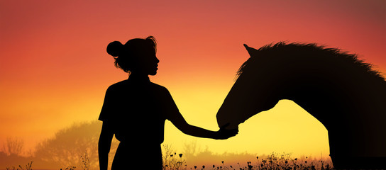 Girl with a horse at sunset © ginettigino