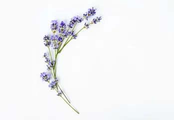 Fototapeten Beautiful lavender flowers on white background © Pixel-Shot