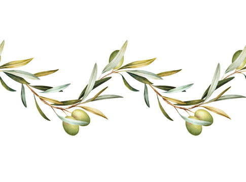 Seamless border of green olive tree branches. Hand drawn watercolor illustration. Decorative design elements.
