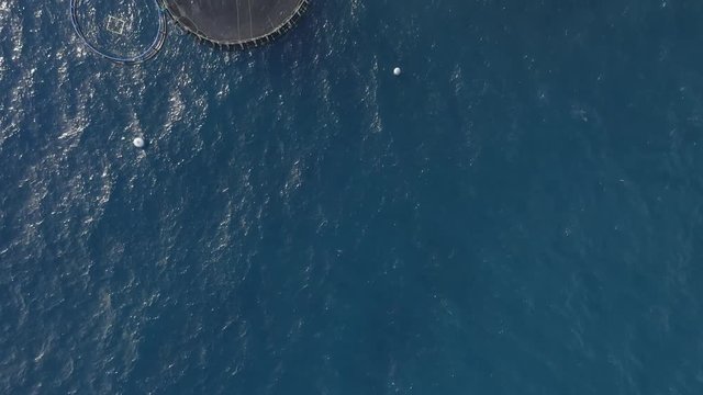 Fishing food extraction Aerial Footage flight over Seafood Farm Consequences of Human Activity  Evolution and Development of the Planet Ecological Disaster. Drone shot 4K top view 