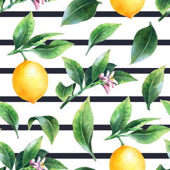 Lemon on a branch on striped background. Watercolor seamless pattern of citrus leaves, fruit and blossoms.
