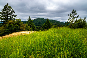 Beautiful Day Along the Northern California Coast in California