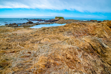 Beautiful Day Along the Northern California Coast in California