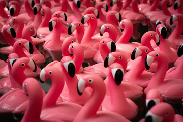 Pink plastic flamingos on water close up