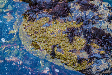 Beautiful Day Along the Northern California Coast