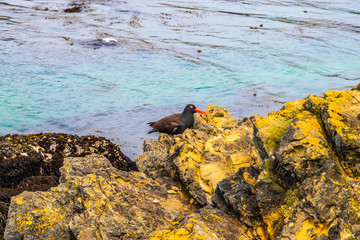 Beautiful Day Along the Northern California Coast