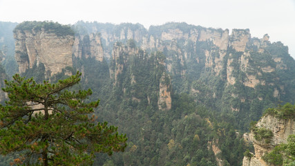 The Zhangjiajie National Forest Park - a unique national forest park with thousands of quartz-sandstone pillars, China