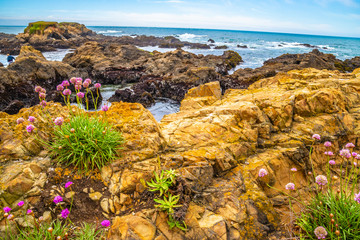 Beautiful Day Along the Northern California Coast