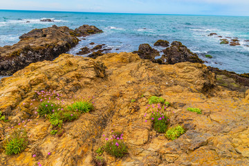Beautiful Day Along the Northern California Coast