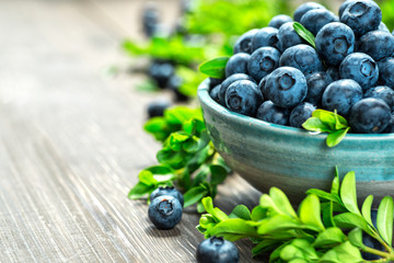 Fresh blueberries background with copy space for your text. Blueberry antioxidant organic superfood in a bowl concept for healthy eating and nutrition