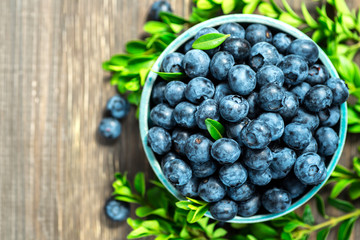 Fresh blueberries background with copy space for your text. Blueberry antioxidant organic superfood in a bowl concept for healthy eating and nutrition