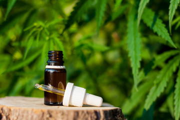 Pharmaceutical CBD oil. Herbal organic medicine product. Natural herb essential from nature. Bottle...