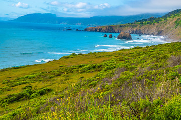 Beautiful Day Along the Northern California Coast