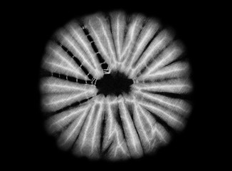 Black and white pattern of an African batik, isolated, black background  