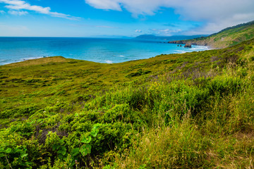 Beautiful Day Along the Northern California Coast