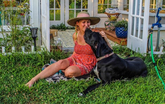 Happy and Casual Mature Woman 50-59 years old hanging out with her Great Dane in her garden in front of her beautiful greenhouse