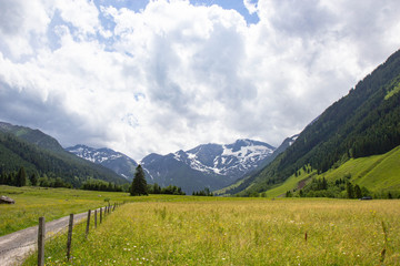Fototapeta na wymiar summer view of Austrian alps in Tyrol