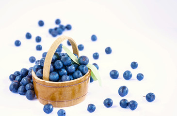 wild berries blueberries in woodware