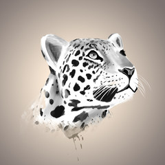 Fototapeta premium Portrait of a spotted leopard
