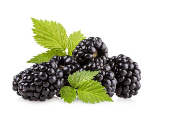 Ripe blackberries