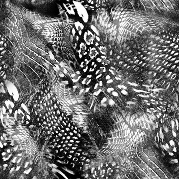 Animal print, leopard texture background