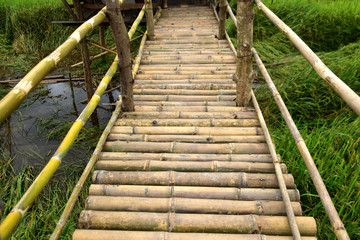 bamboo bridge at the meadow