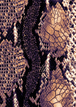 Animal surface seamless print,Pyhton skin, snake pattern, animal skin