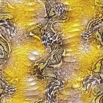 Piton skin, snake pattern, animal skin