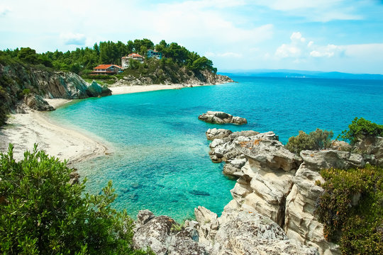 beautiful nature by the sea on nature in the park background